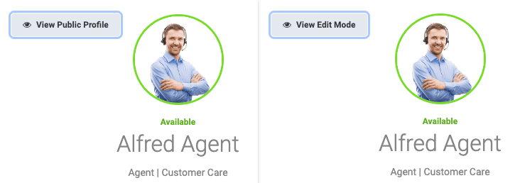 View Public Profile or Edit Mode button