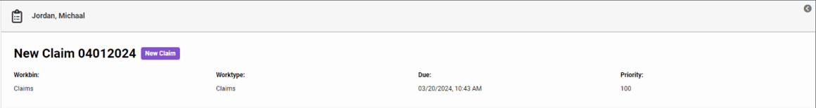 The details section of a workitem