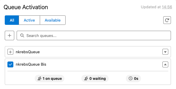 This image is a screenshot of the queue activation and stats component that shows the queue statistics.